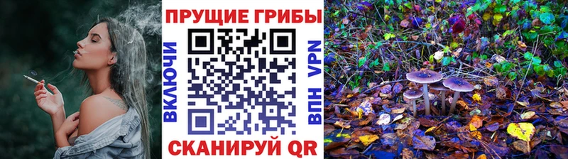 Псилоцибиновые грибы мухоморы  наркотики  Солнечногорск 