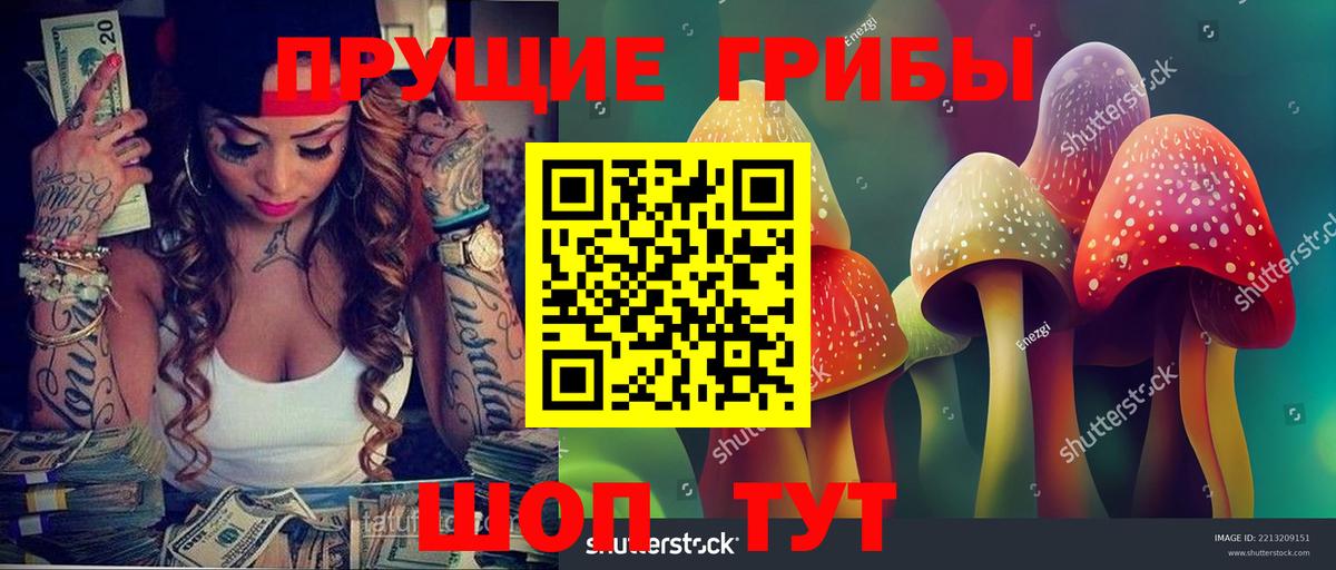 Солнечногорск  Галлюциногенные грибы MAGIC MUSHROOMS  закладка  Вход с VPN 