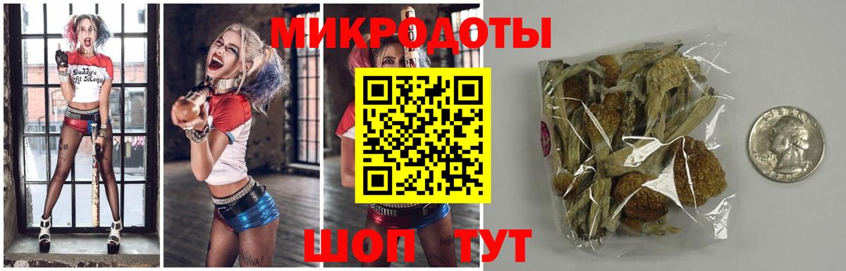 Псилоцибиновые грибы прущие грибы Солнечногорск