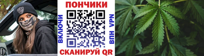 Марихуана гибрид KRAKEN как войти Солнечногорск
